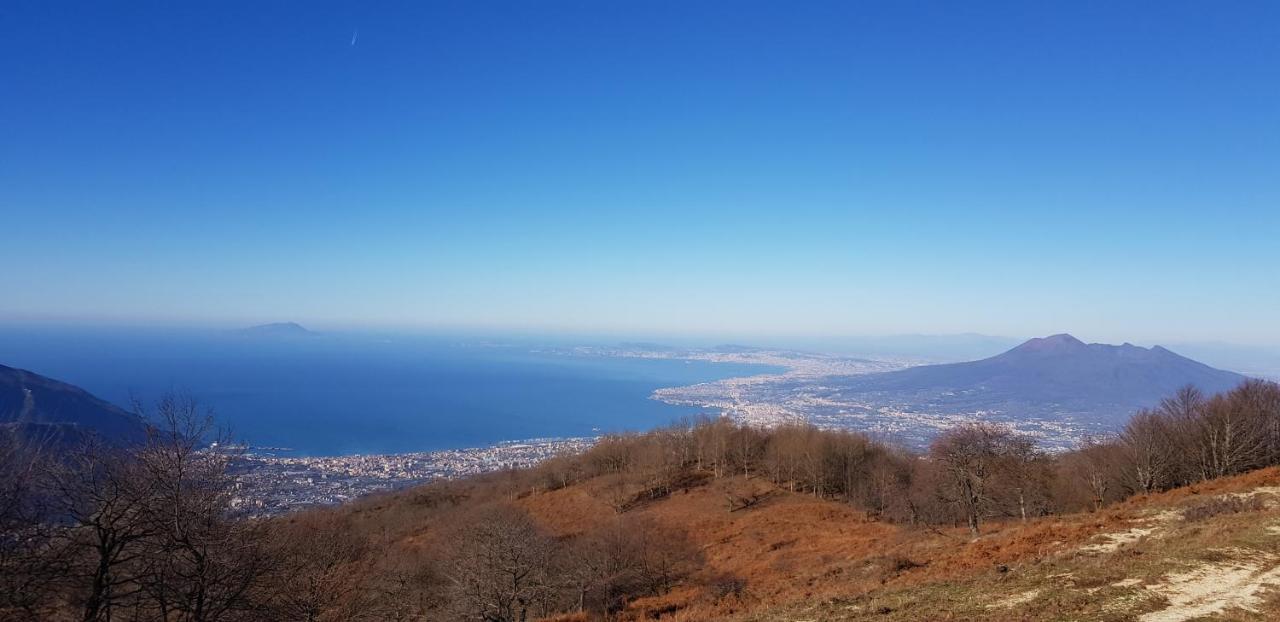 Apicella Casa Vacanze Villa Tramonti Exterior foto