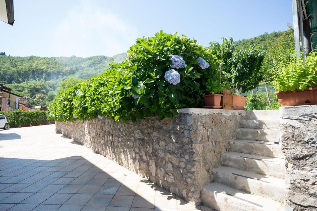 Apicella Casa Vacanze Villa Tramonti Exterior foto