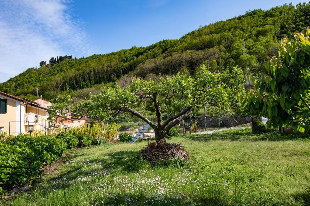 Apicella Casa Vacanze Villa Tramonti Exterior foto